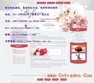 俄语代购网站制作与推广 上海公司的专业之道