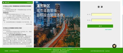 上海互联网软件集团 高端协同管理软件与咨询服务的领航者，赋能网站推广新篇章